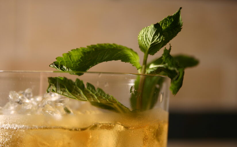 The Classic Mint Julep 🌿🥃